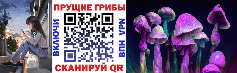 Купить где  Фёдоровский  Псилоцибиновые грибы Magic Shrooms 